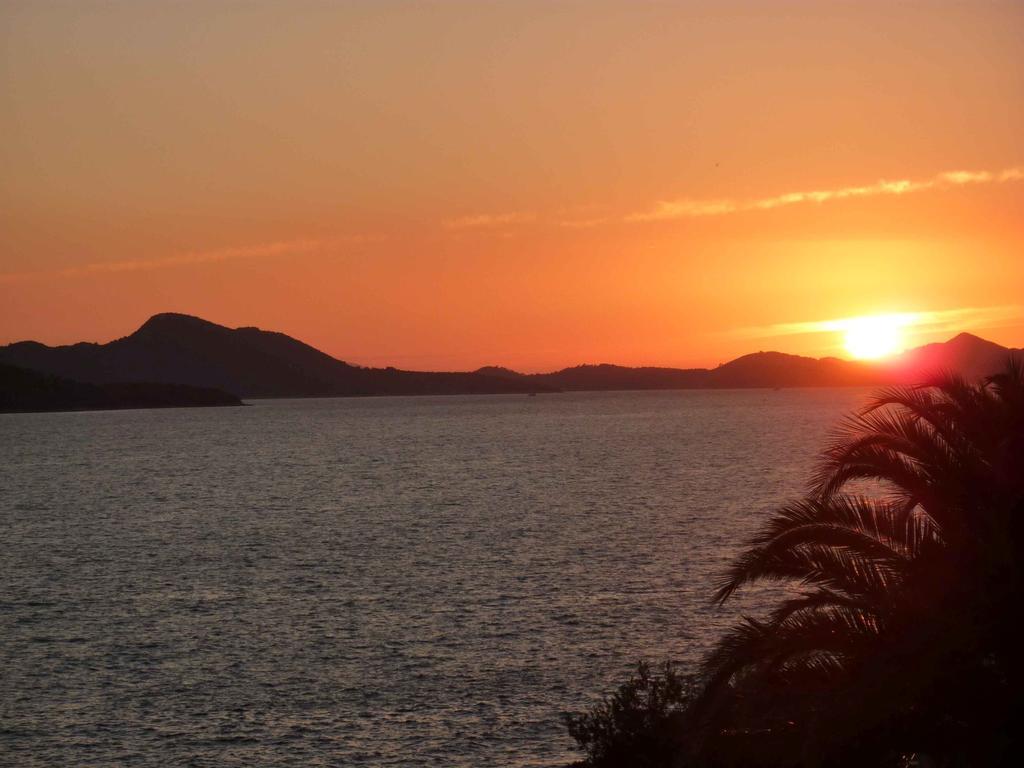 Villa Luce Dubrovnik Oda fotoğraf